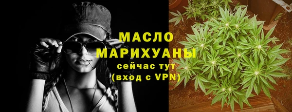 дживик Каменка