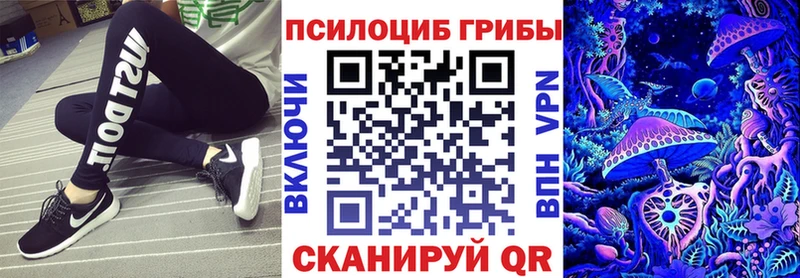 Купить  Железногорск  Галлюциногенные грибы MAGIC MUSHROOMS 